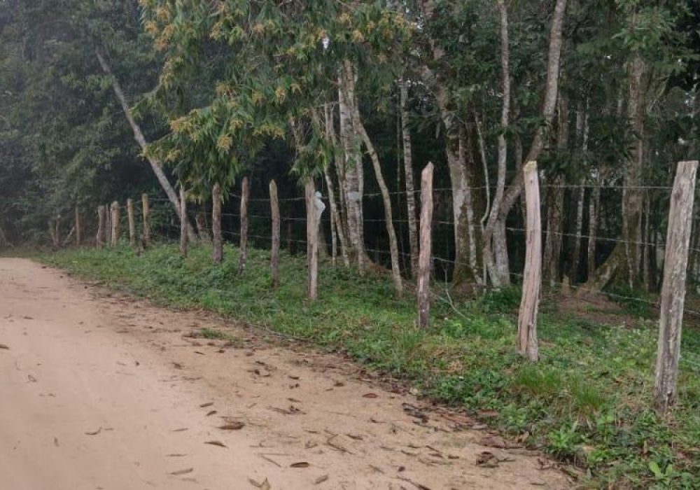 2320768597
